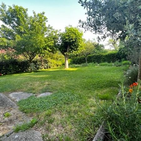 L'Oustal De L'Olivier Vila Rignac  Exterior foto